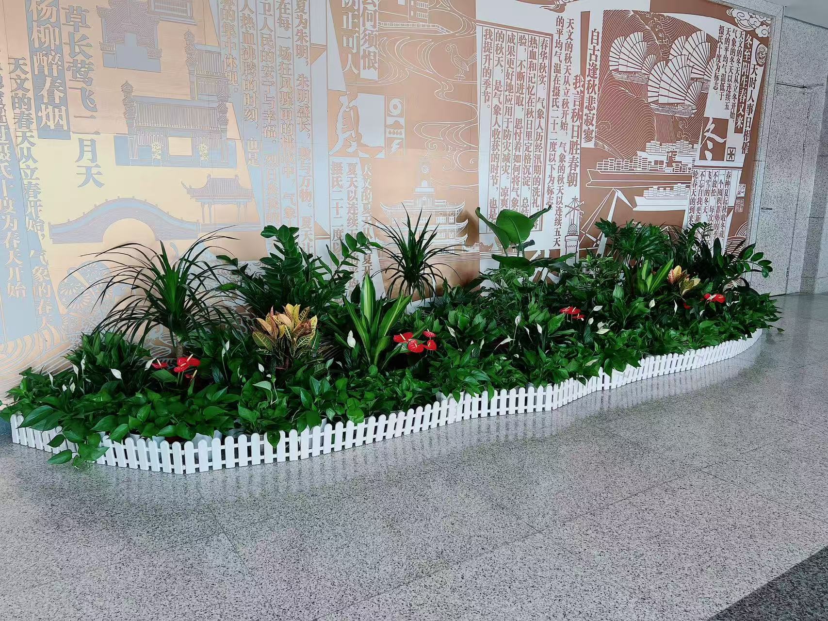 宁波北仑花卉出租价格